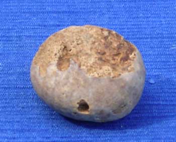 Call moy 72 Metaporinus sarthacensis dessous