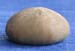 Call moy 72 Philolectypus sarthacensis amb