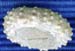 Oxf 54 Diplopodia versipora amb