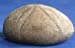Bart 33 Echinolampas medulensis amb